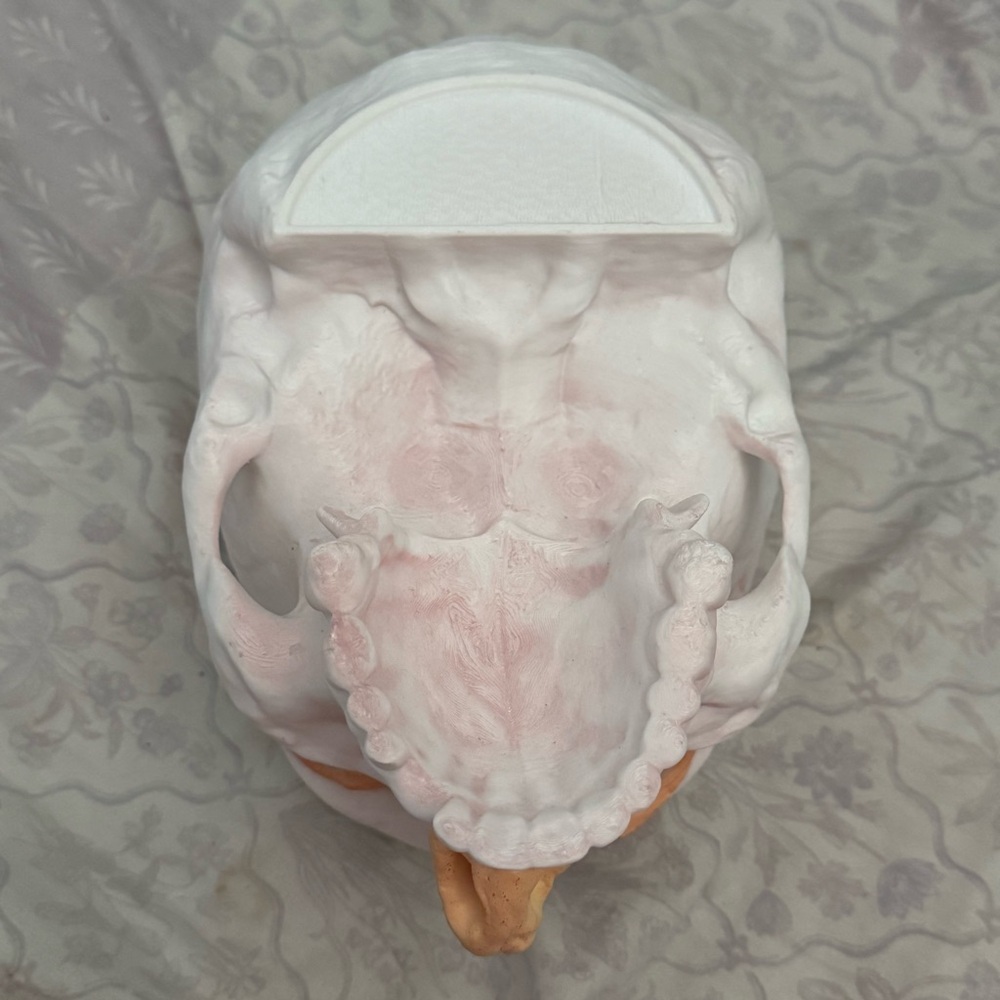 Frankenstein Guillermo Del Toro popcorn bucket by Netflix - Picture 5 of 6